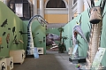 VBS_0850 - Dinosauri. Terra dei giganti